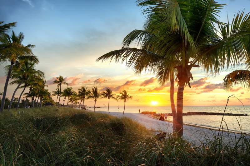 beach with palm trees in Florida