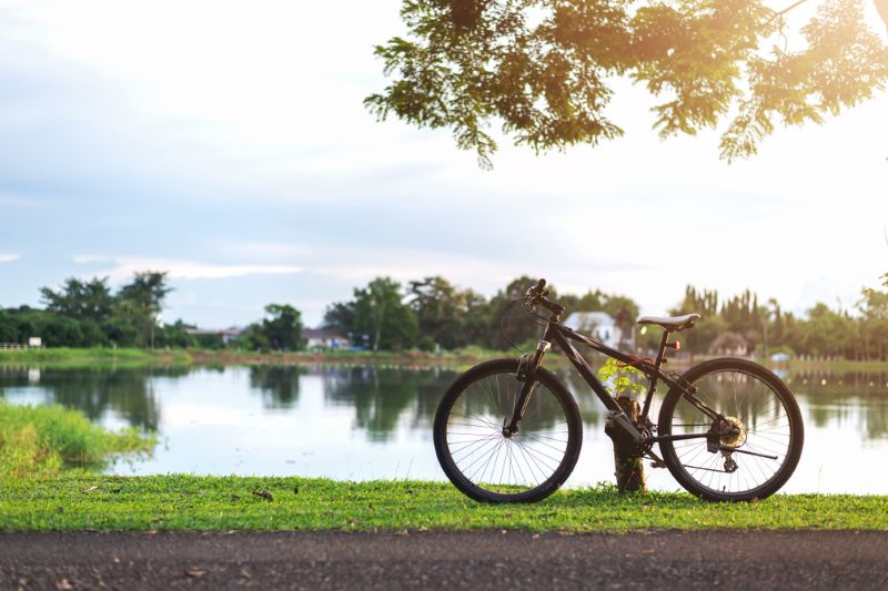 bicycle on the side of the road next to a lake