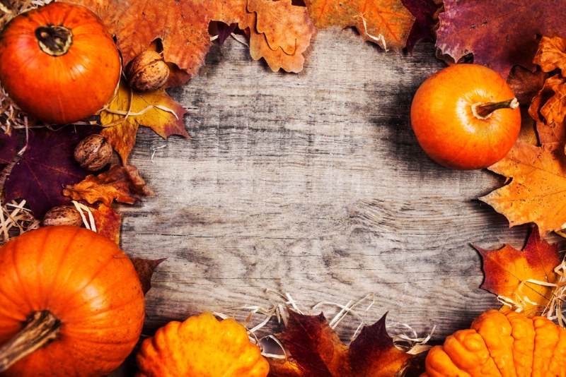 orange pumpkin and leaves on a wooden table